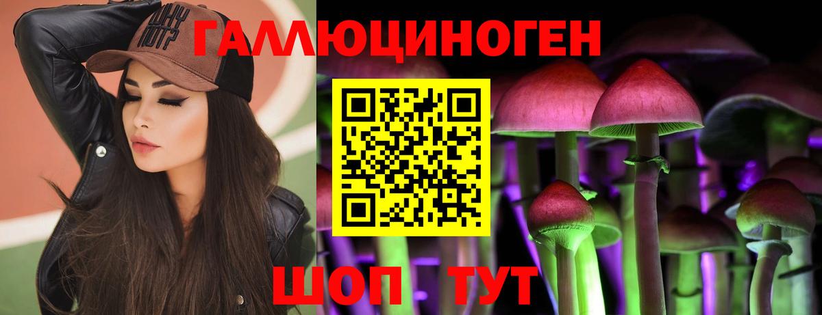 где найти   Галлюциногенные грибы Cubensis  Вход с VPN  Зима 
