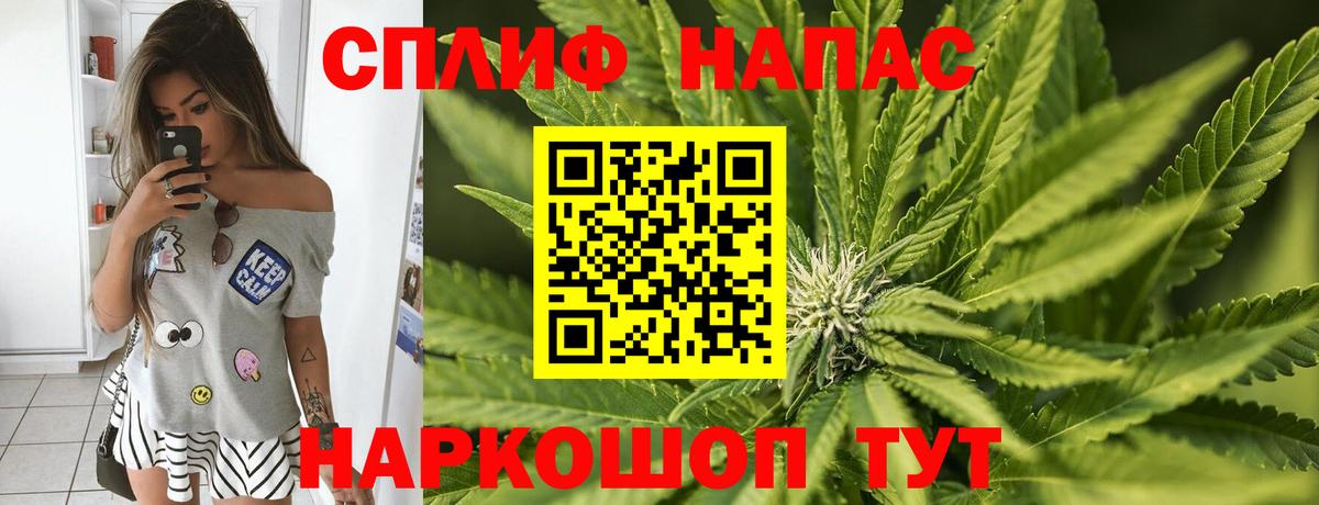 Марихуана конопля  Каннабис MAZAR  Каннабис план  Зима  Вход с VPN 